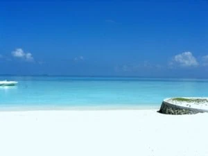 sea staff - expert for recruiting artists for cruise liner